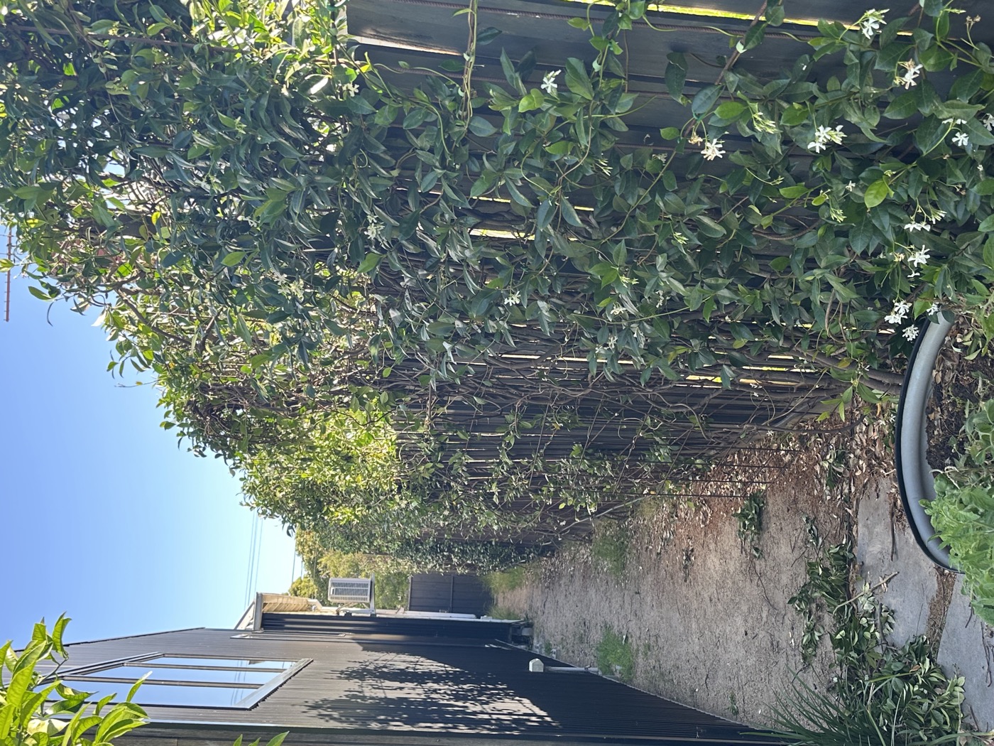 Side passage thick at ends, bare middle