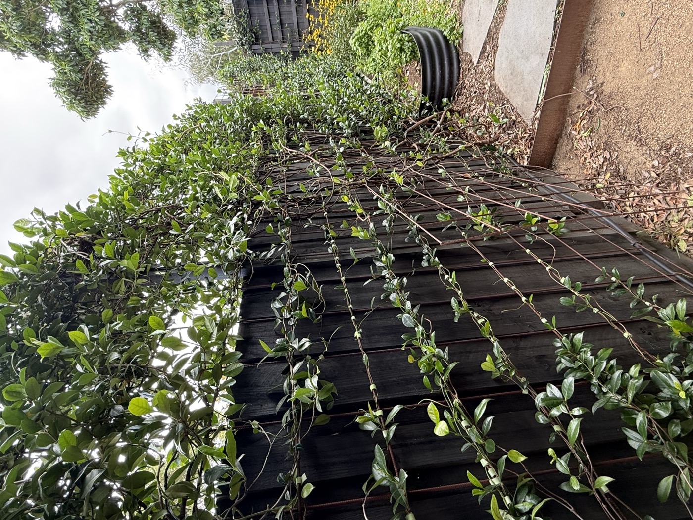 Partial coverage on passage trellis