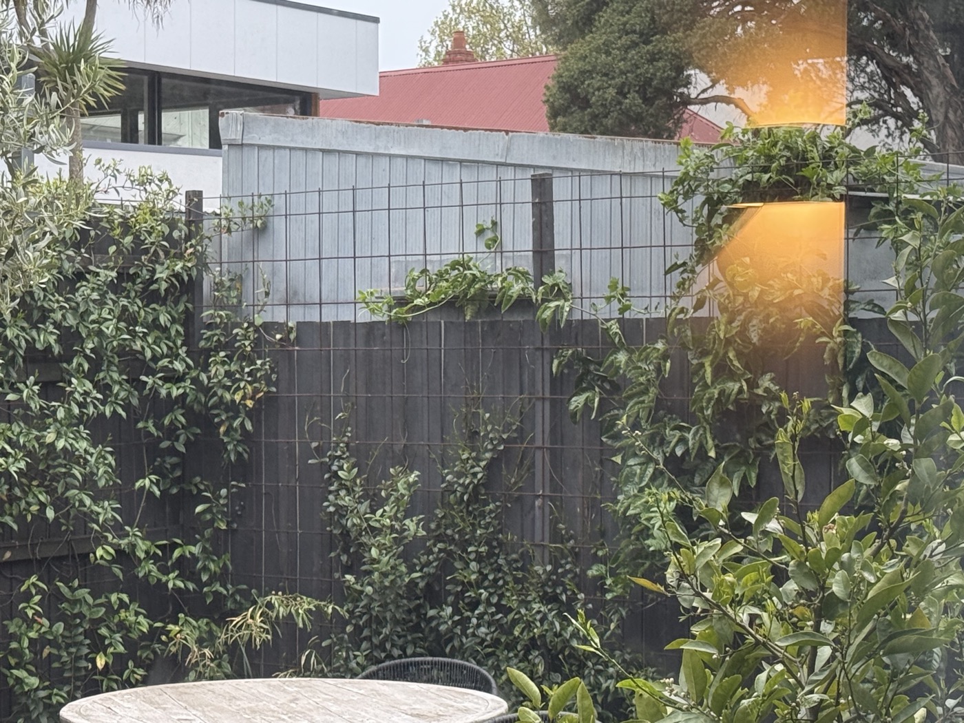 East back garden, panels still bare