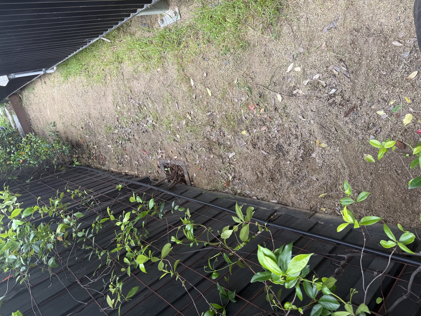 Side passage, very sparse